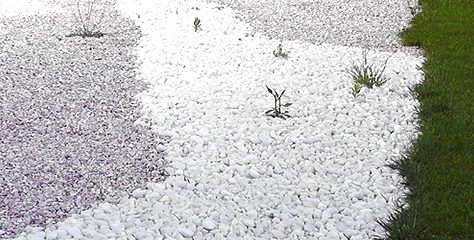 Kieselsteine können als Dekorsteine in Beeten verwendet werden
